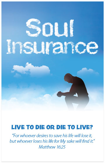 Soul Insurance (Preview page 1)