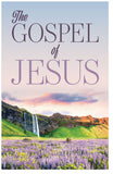 The Gospel of Jesus (Preview page 1)