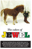 The Colors of Jewel (KJV) (Preview page 1)