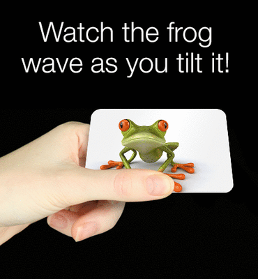 WATCH THE FROG