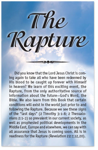 The Rapture (Preview page 1)